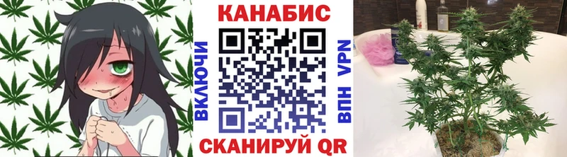 Бошки марихуана SATIVA & INDICA  купить  сайты  Усолье 